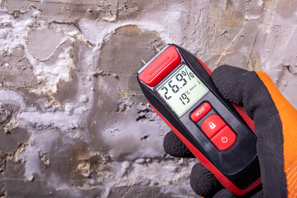 Best Basement Mold Remediation in Lindsay, TX